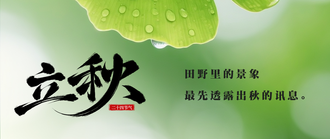 立秋配图1.jpg